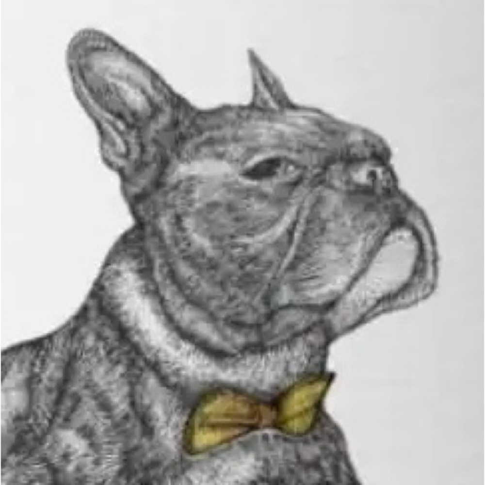 Meet your Posher, Jo